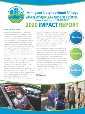 ANV-Impact-Report-2020_Page_1