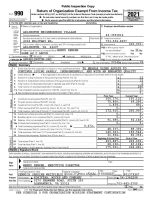 2021 Exempt Tax Return - Public Inspection Copy - Arlington Neighborhood Village-1