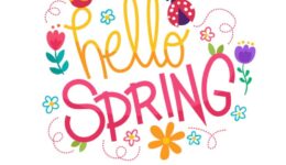 ANV Hello Spring