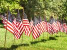 ANV Memorial Day Flags