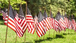 ANV Memorial Day Flags